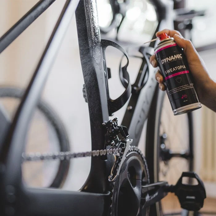 DYNAMIC SWEATOPIA Beskyttende spray (200 ml)