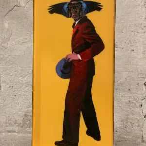 Bakke - Mister Wing