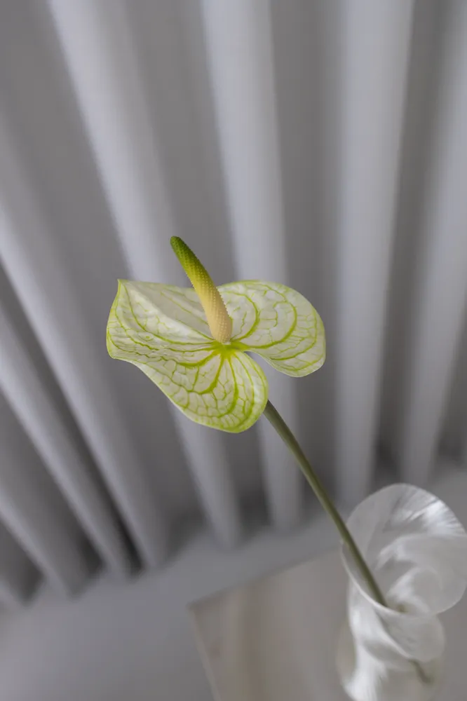 BLOOM OBJECTS kunstig naturtro Anthurium