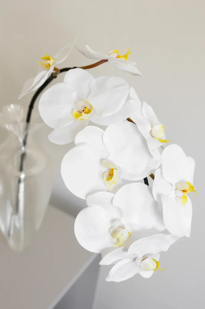 BLOOM OBJECTS kunstig orkidé - Hvid