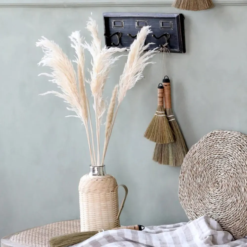 Chic Antique - Tørret Pampasgræs - 6 Stk, H75 cm, Creme Farve