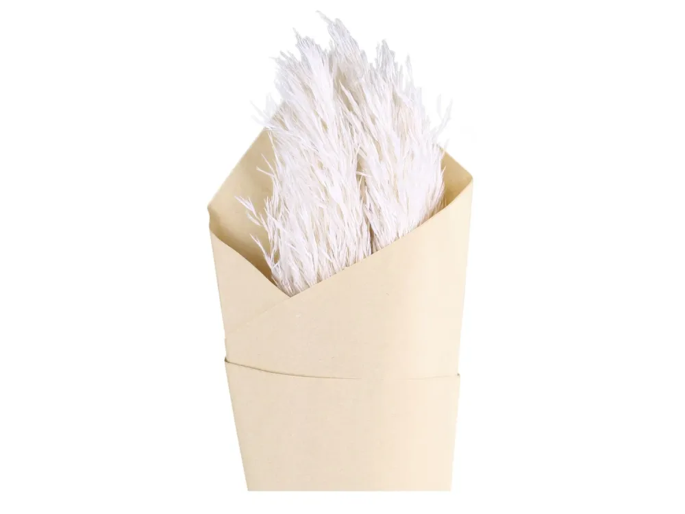 Chic Antique - Tørret Pampasgræs - 6 Stk, H75 cm, Creme Farve