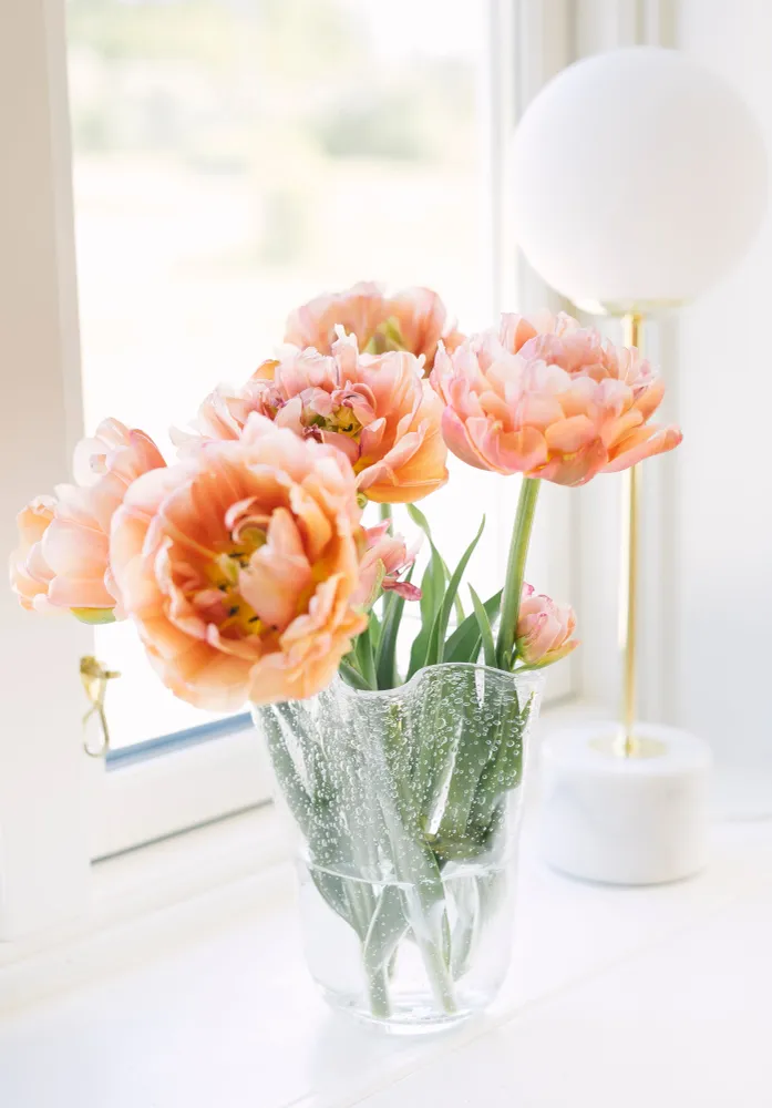 Tulipan vase