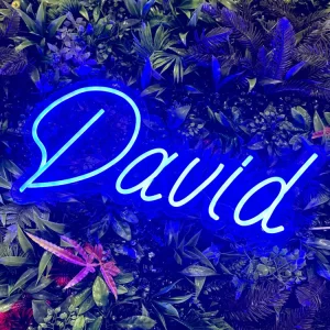 Neon Navneskilt Blå