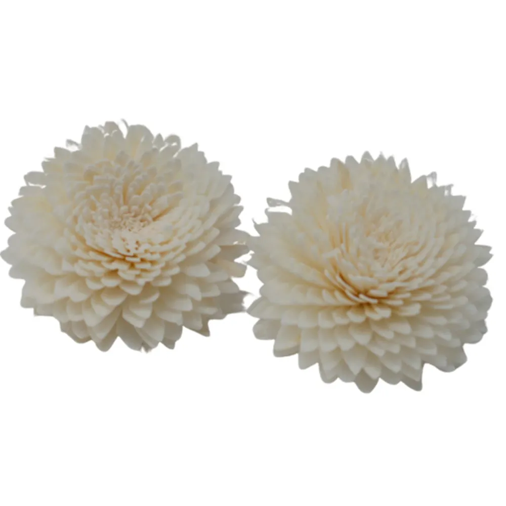 Diffuser blomster Sola træ nellike på snor 12-pak