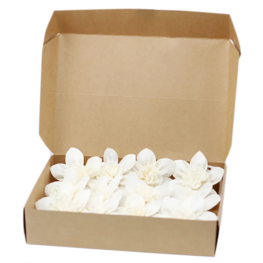 Sola Diffuser Blomster Lilje Med Snor 12 Pakke