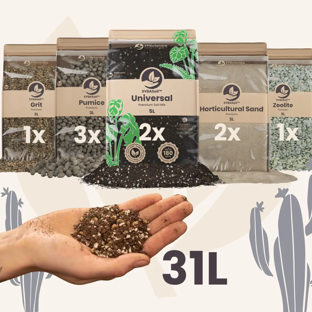 DIY ørkenmix bundle