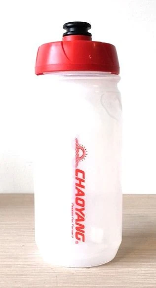 Chaoyang Flaske 600ml