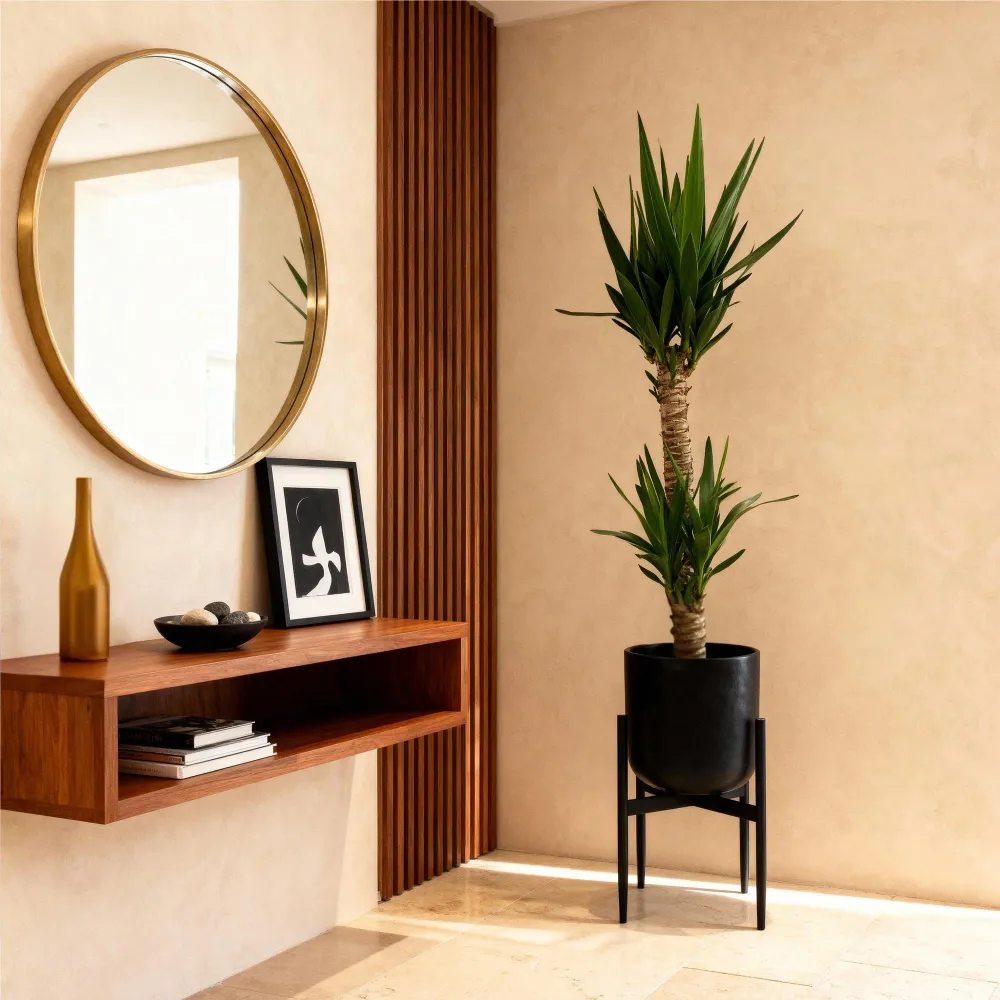Yucca elephantipes – Sæt af 2 – Potte 19 cm – Højde 120 cm