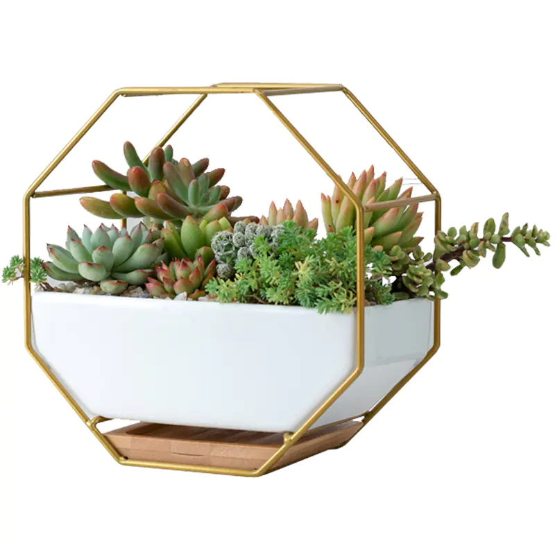 Nordic Understated Geometric Wrought Iron Flower Pot Set Black