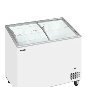 IC301SCEB