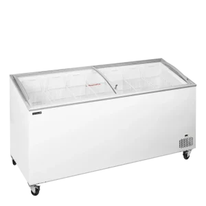 IC551SCEB