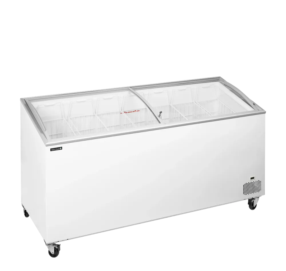 IC551SCEB
