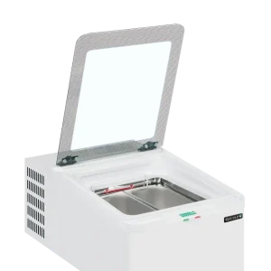 ICE2
