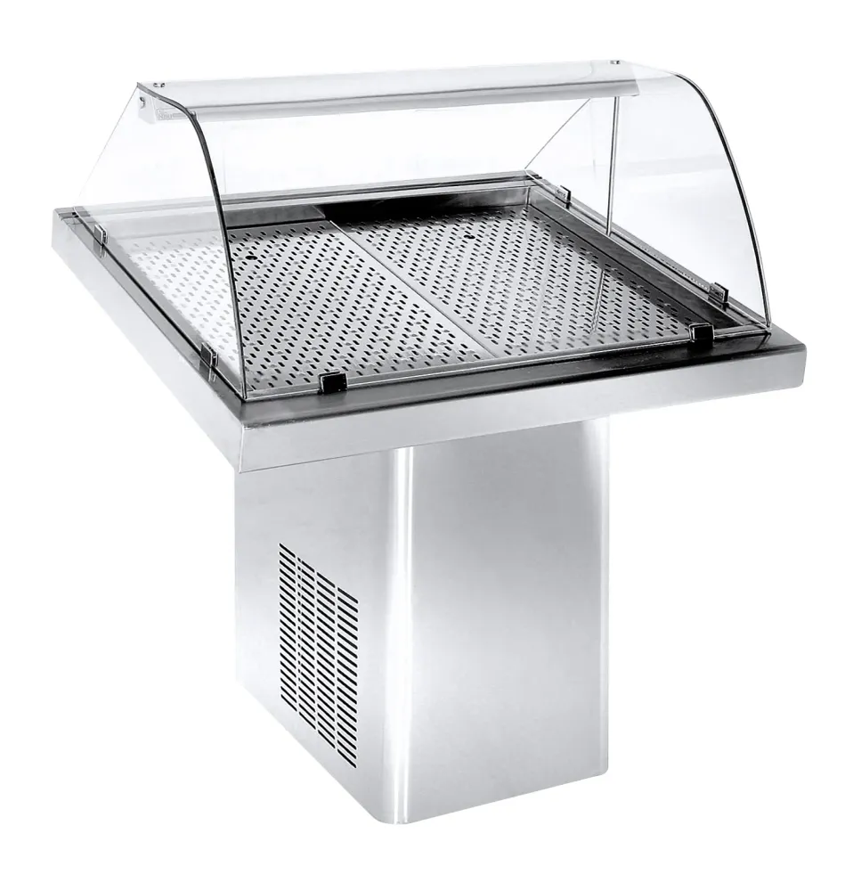 Refrigerated fish display 1.0