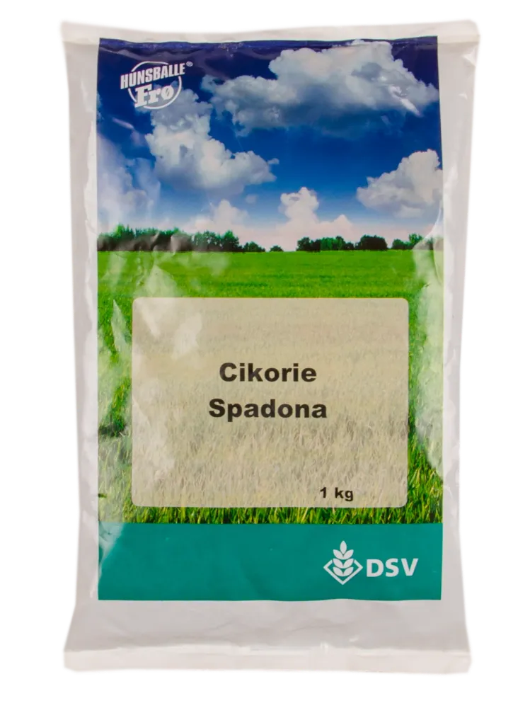 Cikorie, Spadona 10 kg