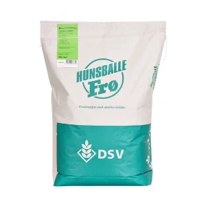 Engsvingel Baltas, 10 kg