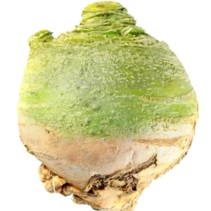 Kålroe Wilhelmsburger, ubejdset, 1 kg