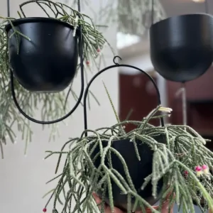 Potte med krog - Black