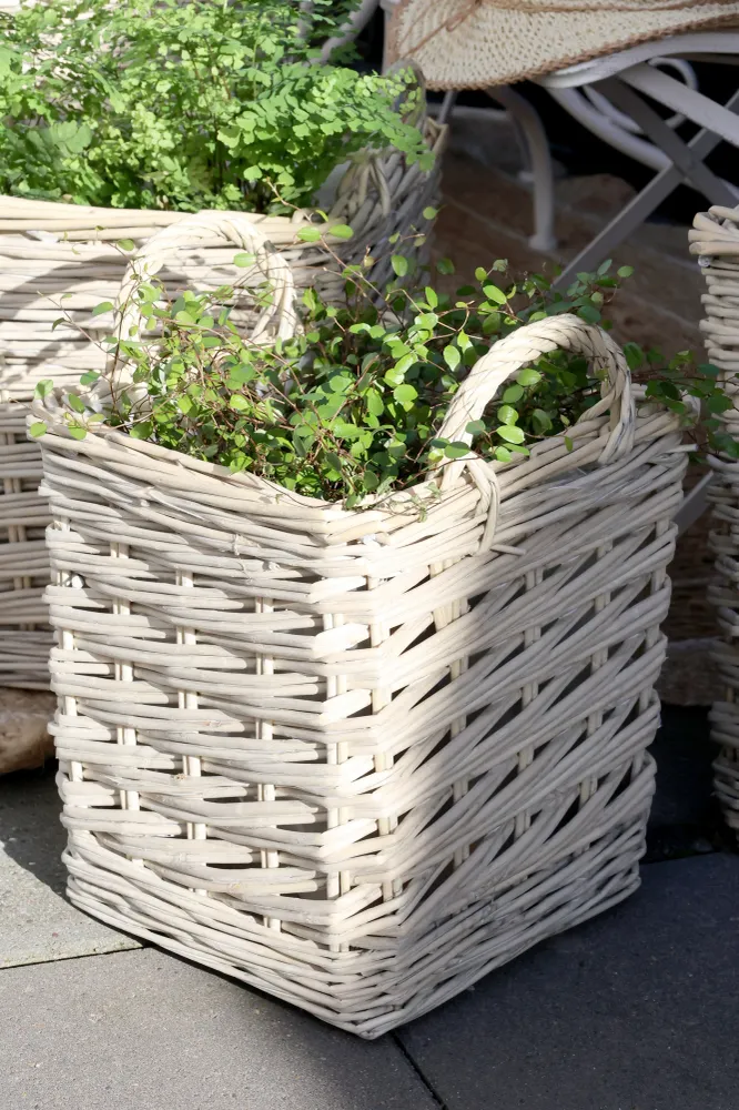 Chic Antique - Fransk Kurv m. Plastforing Sæt af 3, H33/Ø42 cm Natur