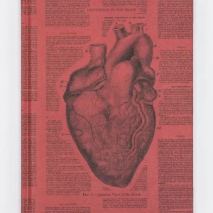 Succubus Home Anatomical Heart Hardcover Schrijfboek