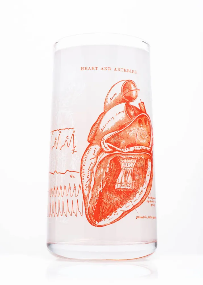Succubus Home Anatomisk Hjerte Drikkeglas