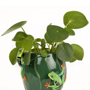 Succubus Home Dyre Træ Frø Vase Grøn