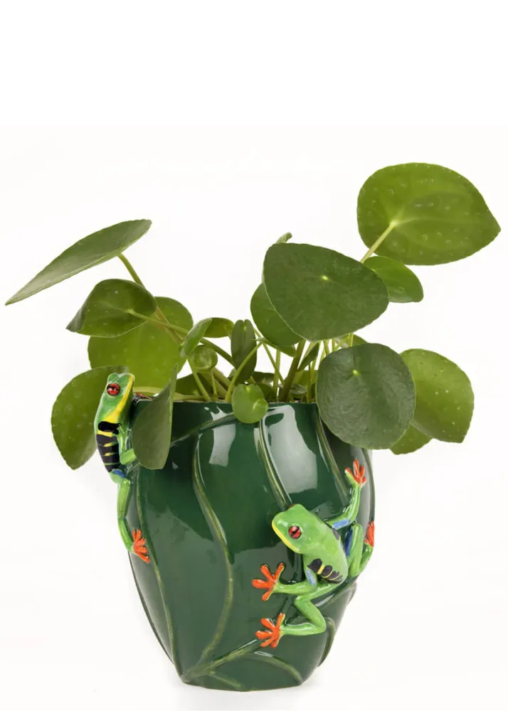 Succubus Home Dyre Træ Frø Vase Grøn