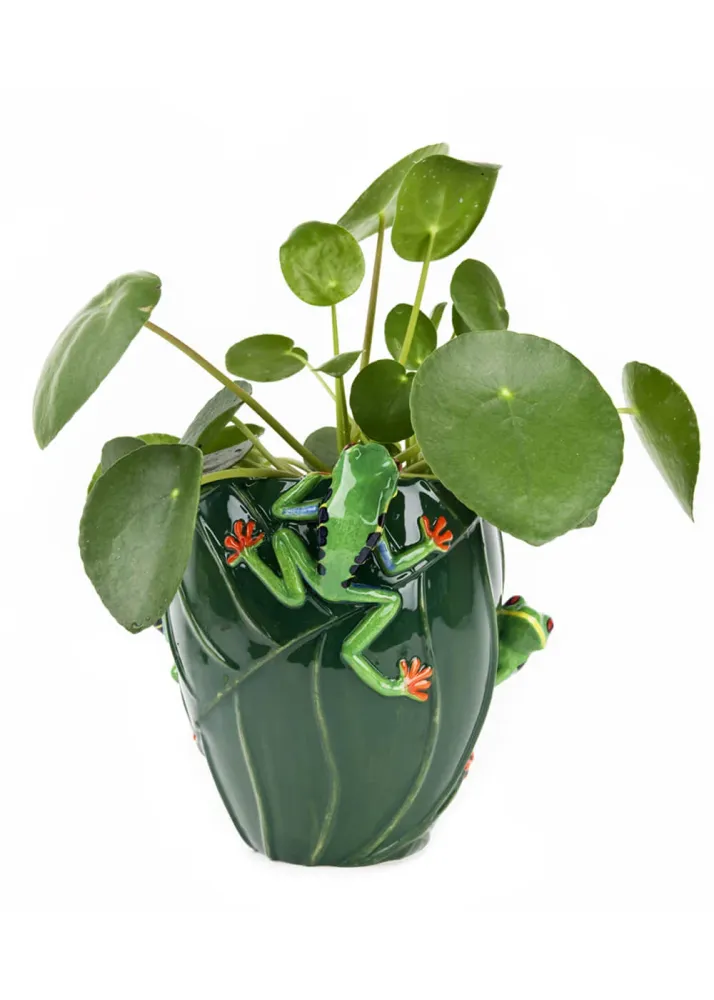 Succubus Home Dyre Træ Frø Vase Grøn