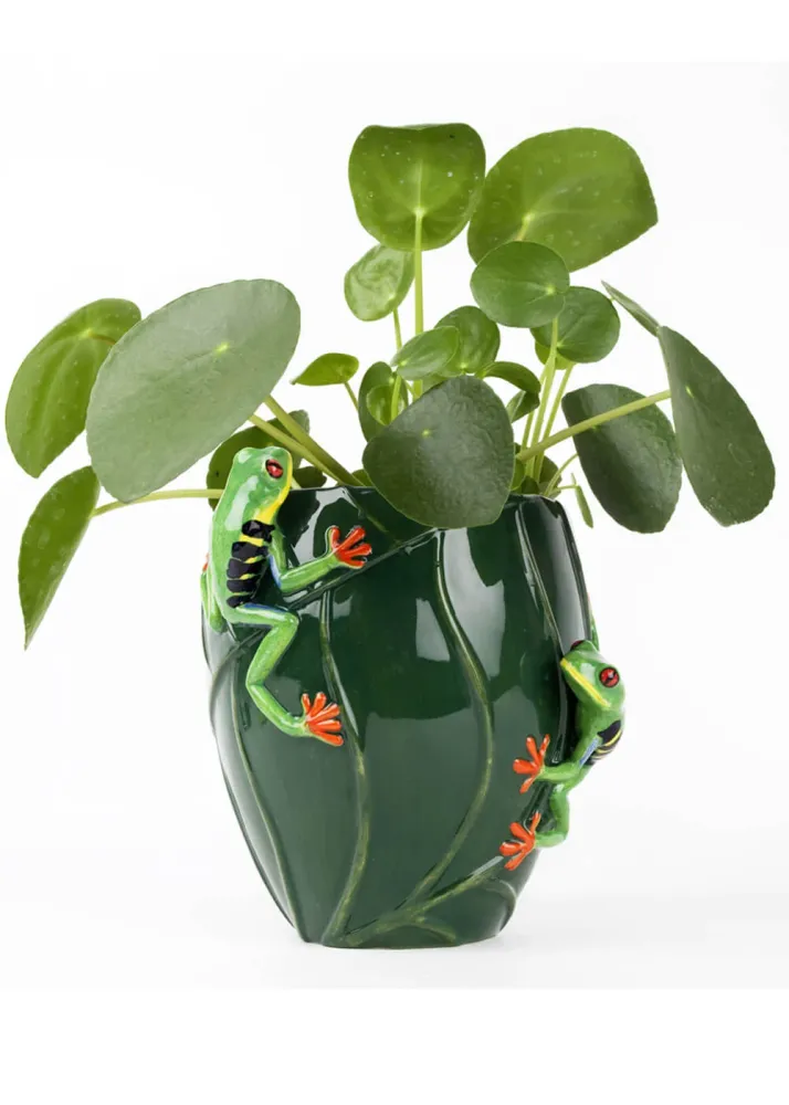 Succubus Home Dyre Træ Frø Vase Grøn