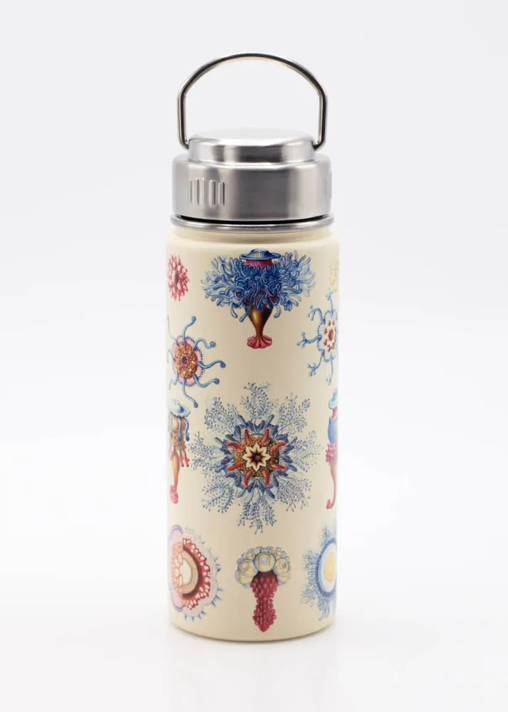 Succubus Home Haeckel Jellyfish Termoflaske 500 ml