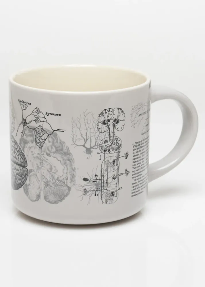 Succubus Home Hjerne Anatomisk Krus