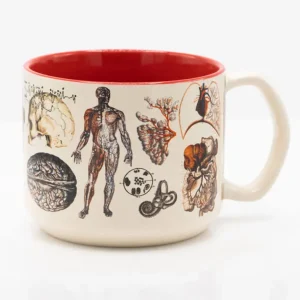 Succubus Home Keramisk Krus 'Vascular Anatomy' — 450 ml