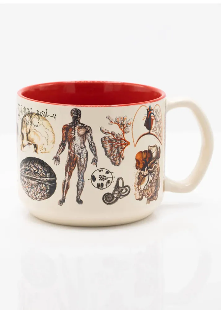 Succubus Home Keramisk Krus 'Vascular Anatomy' — 450 ml