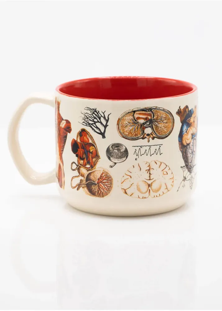 Succubus Home Keramisk Krus 'Vascular Anatomy' — 450 ml