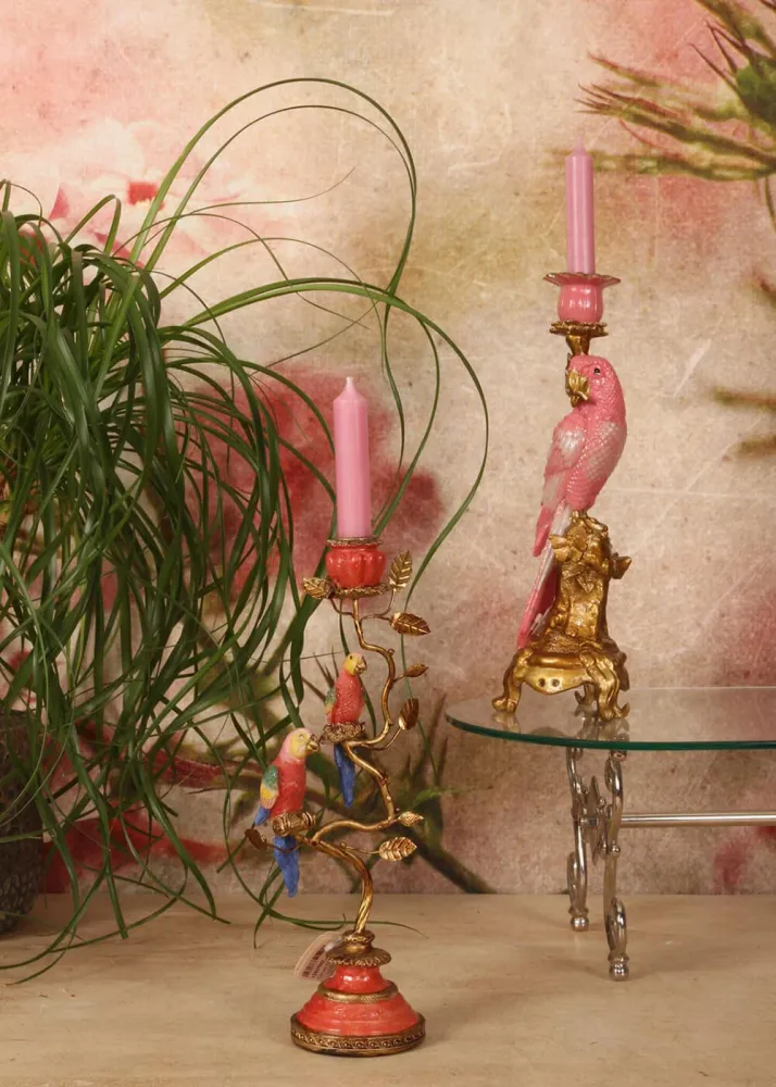 Succubus Home Papegøje Lysestage Rosa