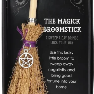 Succubus Home Pentagram Mini Magick Besom