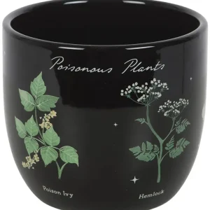 Succubus Home Plantepotte Giftige Planter — Sort