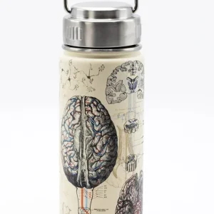 Succubus Home Termoflaske Hjerne og Neurovidenskab 500 ml