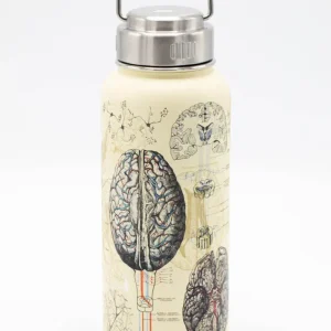 Succubus Home Termoflaske Hjerne & Neurovidenskab 950 ml