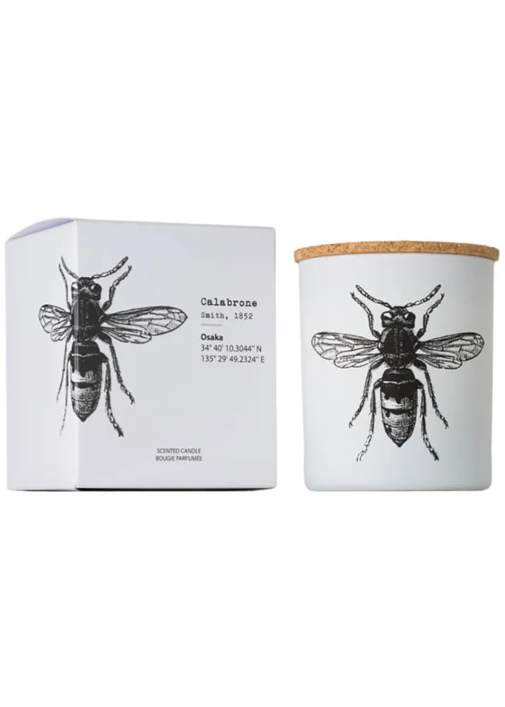 Vila Hermanos Insects Calabrone Duftlys 75g