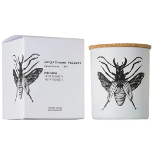 Vila Hermanos Insects Dorysthenes Walkeri 190g Duftlys