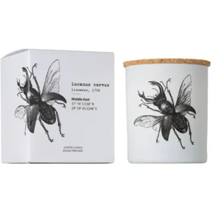 Vila Hermanos Insects Lucanus Cervus - Duftlys 190 g