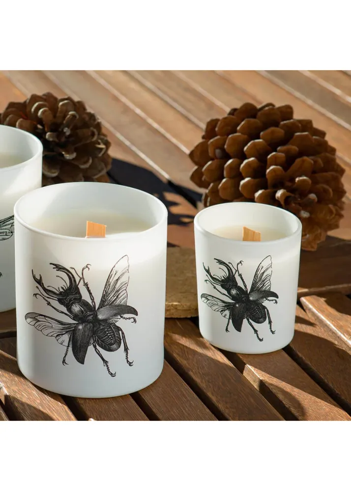 Vila Hermanos Insects Lucanus Cervus - Duftlys 190 g