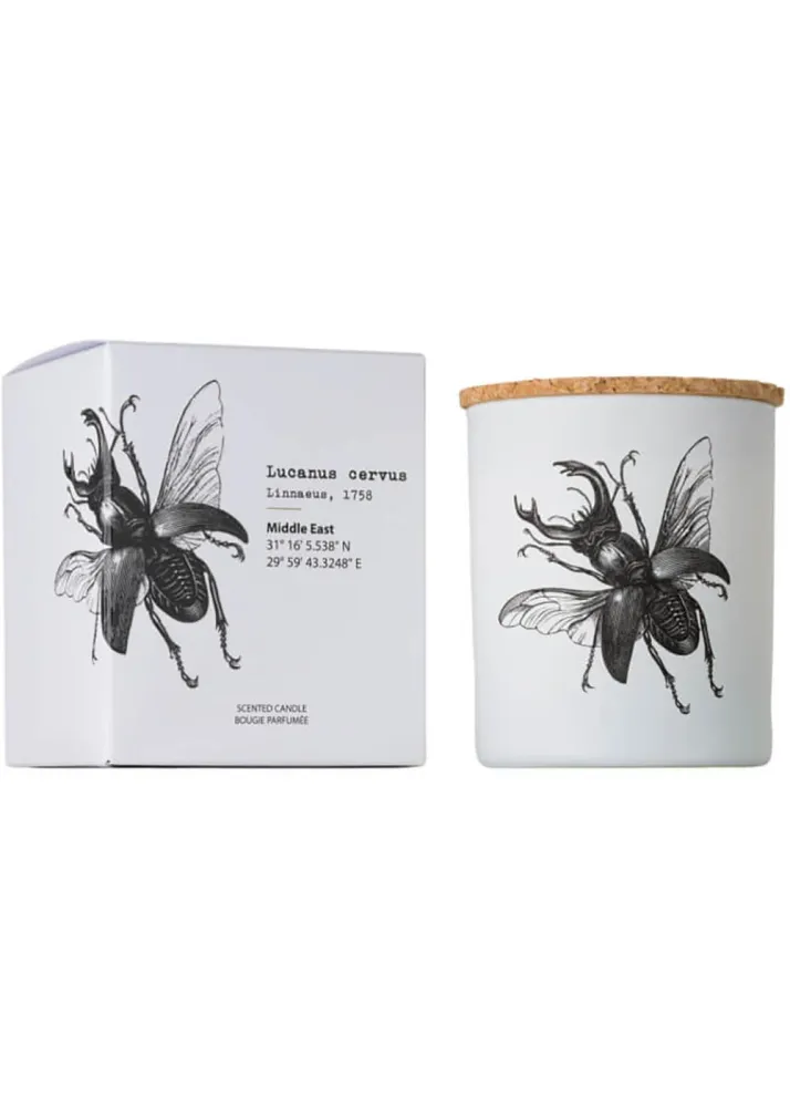 Vila Hermanos Insects Lucanus Cervus Duftlys 75g