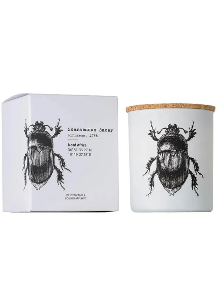 Vila Hermanos Insects Scarabeus Sacer 190 g Duftlys