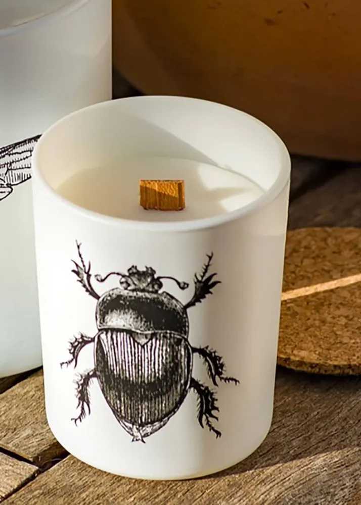 Vila Hermanos Insects Scarabeus Sacer 190 g Duftlys