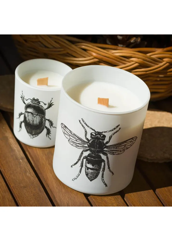 Vila Hermanos Insects Scarabeus Sacer 190 g Duftlys