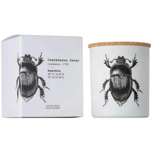 Vila Hermanos Scarabeus Sacer 75g — Duftlys Insects