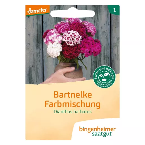 Biodynamiske Skægnelliker - Mix Farve - Bingenheimer Saatgut